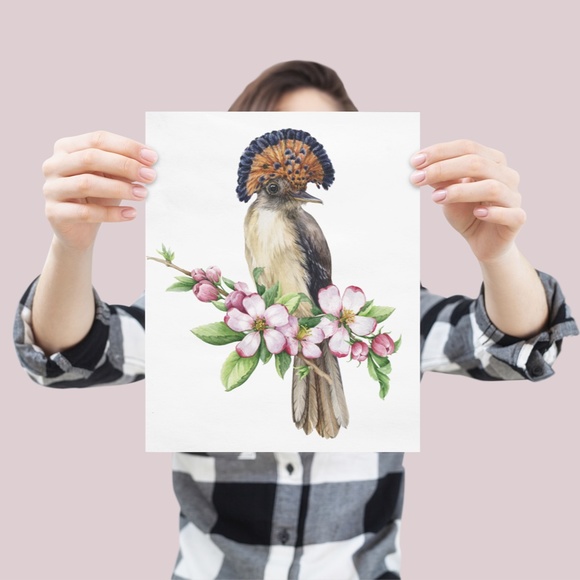 Flycatcher Bird Wall Art Watercolor Illustration Print Poster Card Unframed - Picture 4 of 7